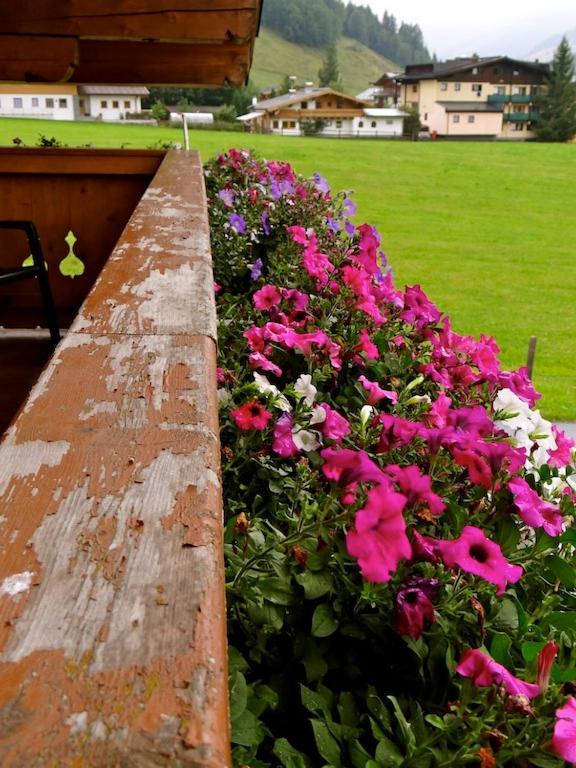 Ski & Bike Pension Maria Saalbach-Hinterglemm Exteriör bild